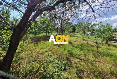 Casă individuală cu 2 camere cu Canalizare în Ciugud - 11