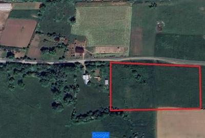 De vanzare teren 1,2 Ha in Laureni De vanzare teren 1,2 Ha in Laureni - 8