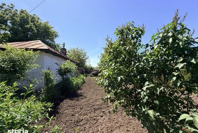 Casă cu 6 camere cu Teren 3000 Mp în Cârcea - 4