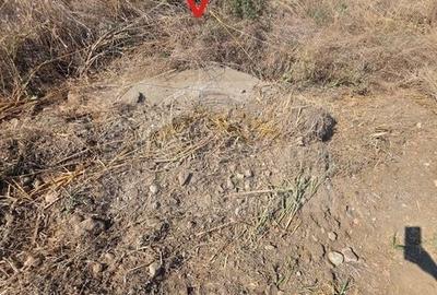 Teren intravilan 5.450 mp – Strada Castanilor, Ciorogârla – zonă rezidențială în - 4