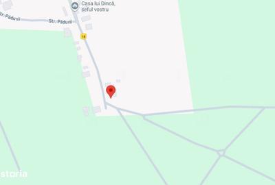 Casă cu 3 camere cu Teren 3487 Mp în Tănăsoaia - 1