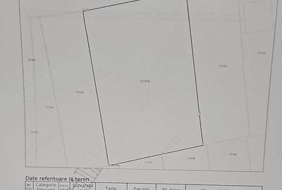 Teren de 2300 mp, în Vânători - 2