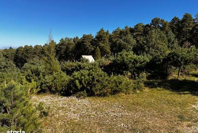 Teren de 600 mp, în Tărlungeni - 7