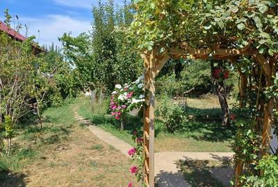 Casă cu 7 camere cu Teren 959 Mp în Central - 6