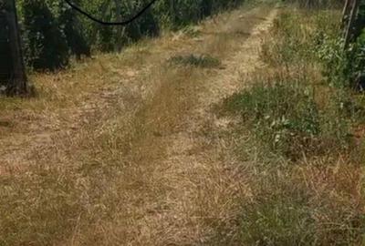 Teren de 1700 mp, în Valea Călugărească