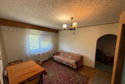 Apartament 2 camere, 46 mp, ultracentral zona Mc Donald? - 1