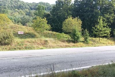 Teren de 4183 mp, în Bârlogu - 3