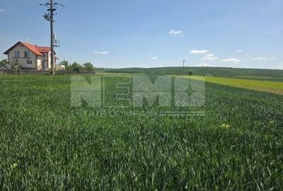 Teren agricol extravilan de 2600 mp, în Mitocu Dragomirnei - 4