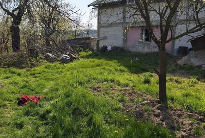 Casă cu 2 camere cu Teren 3000 Mp în Central - 1