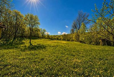 Casă individuală cu 2 camere cu Teren 3400 Mp în Suveica - 12