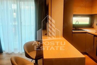 Apartament  tip studio,  Dumbravita - 4