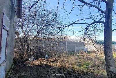 Casă cu 3 camere în Parța - 13