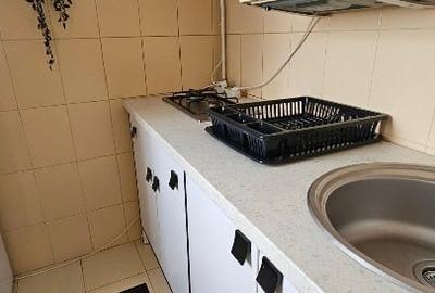 Proprietar vând garsonieră Badea Cârțan Timișoara - 5