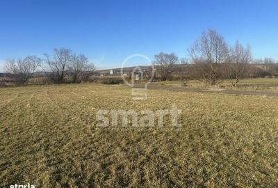 Spațiu comercial, în Petrești - 5