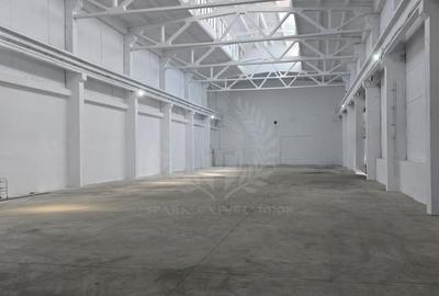 Spațiu industrial, în Mihai Bravu - 5