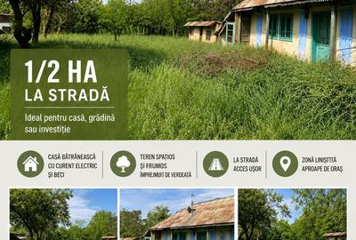 Teren intravilan de 5000 mp, în Trifești - 4