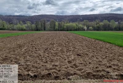 Casă cu 1 camere cu Teren 15000 Mp în Central - 1
