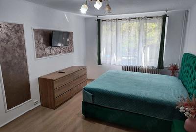 Garsonieră decomandată în Ozana - 2