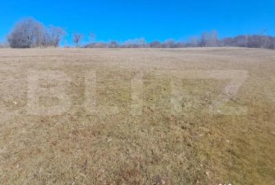 Teren de 5000 mp, în Almașu Mare - 2