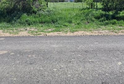 Casă individuală cu 4 camere cu Teren 2676 Mp în Vălcani - 15