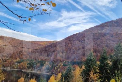 Teren de 1200 mp, în Mănăștur - 2