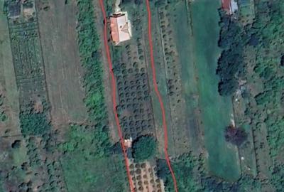 Casă cu 4 camere în Băicoi - 1