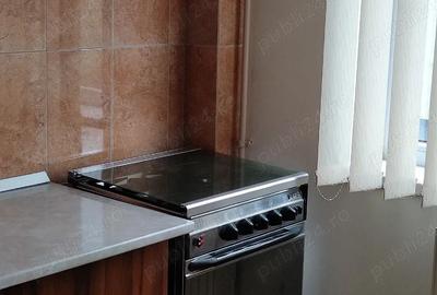 Apartament cu 2 camere decomandat în Brazda lui Novac - 7