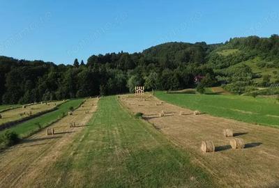 Teren 5886 mp In Bucovina - Bucsoaia! De Vanzare! 0727817187 - 8