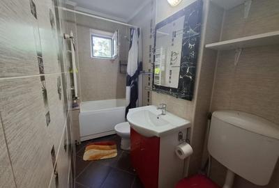 INCHIRIERE-APARTAMENT 2 CAMERE NEDECOMADAT-ALEXANDRU CEL BUN - 7