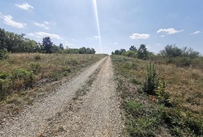 Teren intravilan de vanzare, 3.500 mp, cu front stradal de 21,5 ml - 2