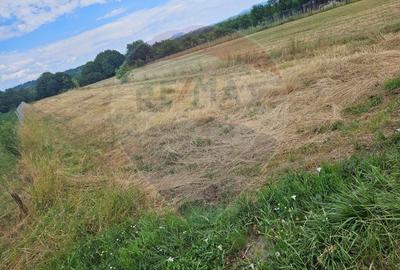 Teren Construcții intravilan de 1945 mp, în Sarasău - 2