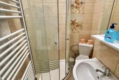 Garsoniera moderna, 33 mp, Petfrendly, zona Brazda lui Novac - 4