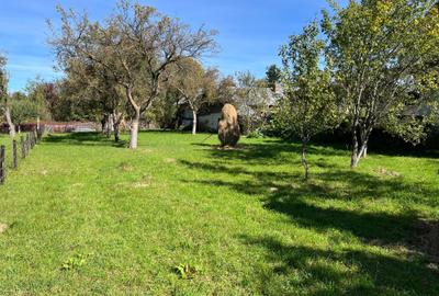 Teren de 840 mp, în Exterior Vest - 3