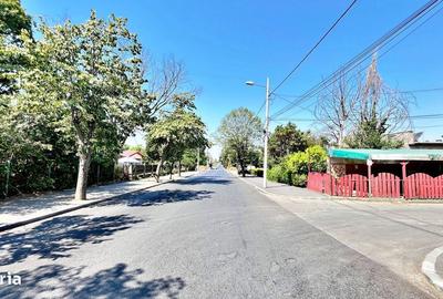 Spațiu comercial, în Nord - 3