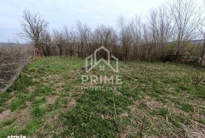 Spațiu comercial, în Straja - 1