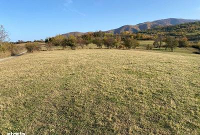 Teren de 972 mp, în Gura Râului - 10