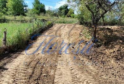 Teren de 1300 mp, în Iara - 6