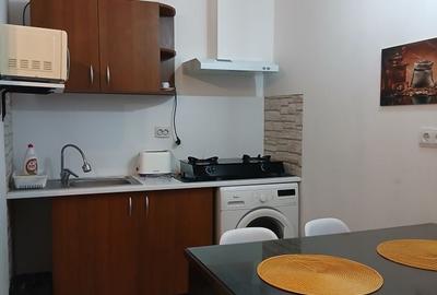 Apartament cu 2 camere decomandat în Amara - 7