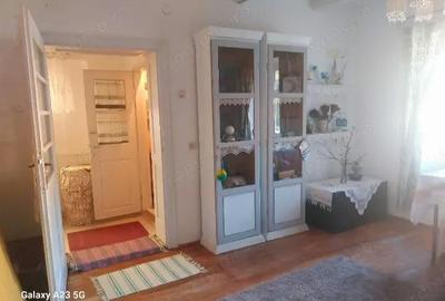 Casă cu 6 camere cu Teren 2027 Mp în Miniș - 3