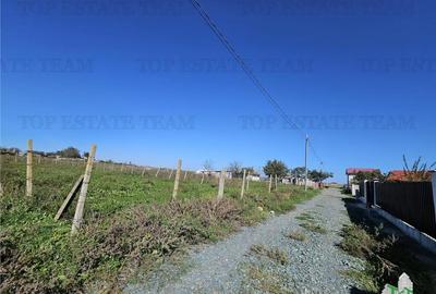 TEREN 500 MP COSTINESTI ZONA CASA BARINA - 4