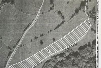 Spațiu comercial, în Crizbav - 6