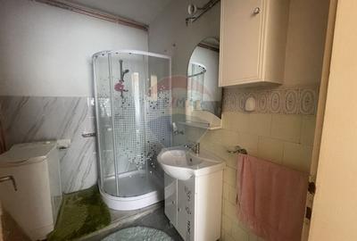 Casa cu 2 camere de inchiriat in zona Dambu Rotund - 6