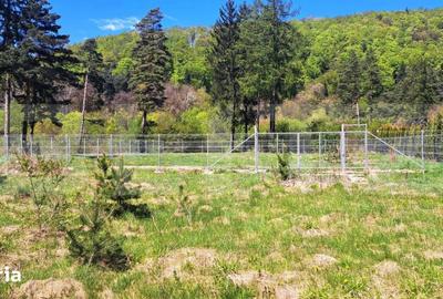 Teren de 800 mp, în Bunloc - 2