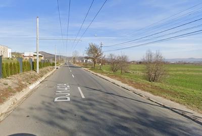 Teren Construcții intravilan de 10000 mp, în Central - 2