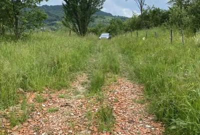 Casă cu 4 camere în Malu cu Flori - 5