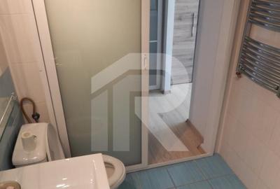 Garsoniera Titulescu - Banu Manta - 2