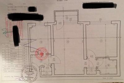 Brazda lui Novac (Paltinis) - 1