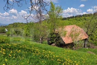 Teren intravilan 3400 mp, in Balaban - Simon, Bran - Brasov - 13