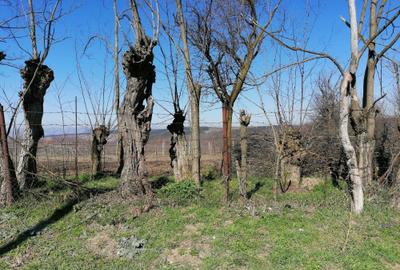 Teren de 1300 mp, în Exterior Vest - 2