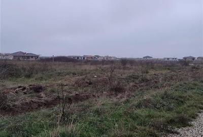 RECO Teren intravilan Tineretului - 1